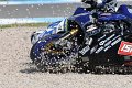STF_0482