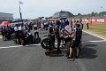 TSF_1376