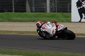 STF_0681
