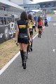 TSF_1136