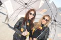 TSF_0562