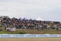 STF_2219