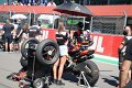STF_1835